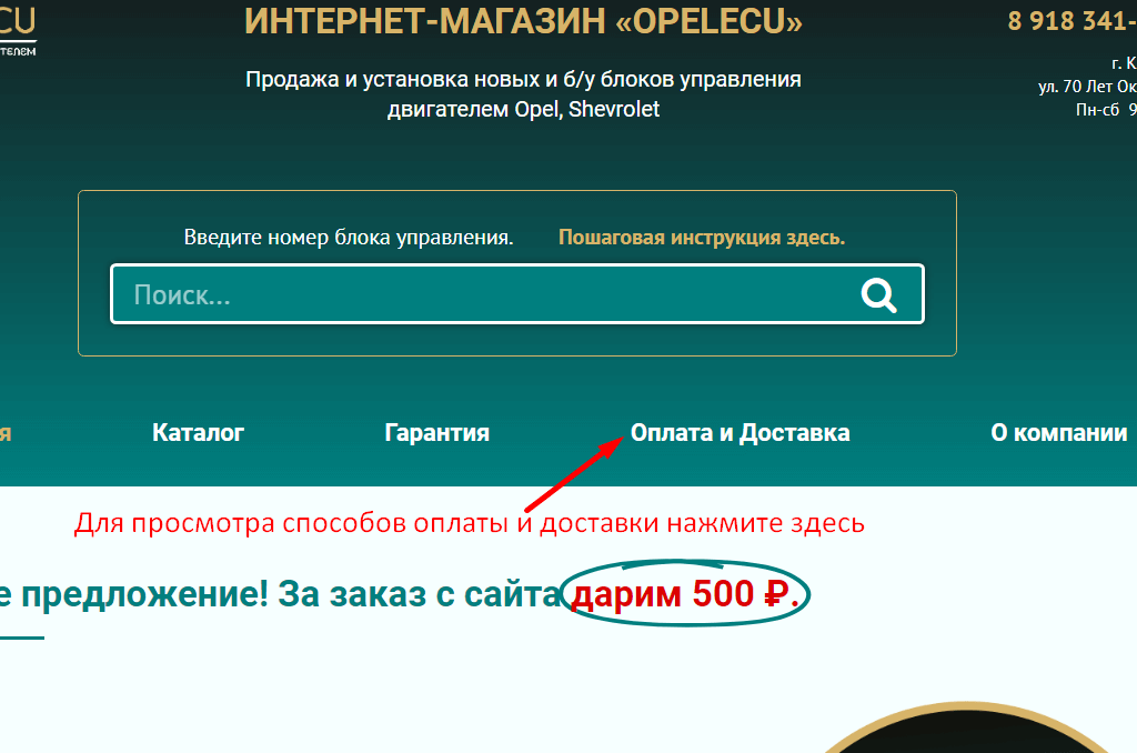 Просмотр способов оплаты и доставки на opelecu.ru